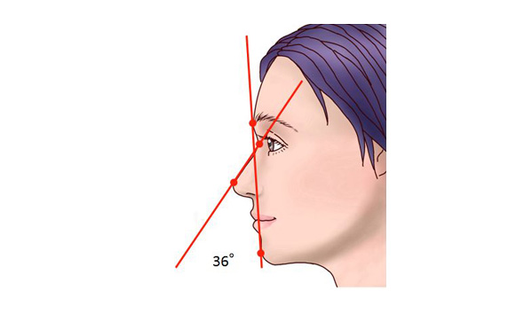 横からみた鼻の理想的な角度1